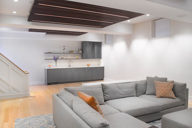 Inspiration for a mid-sized contemporary look-out light wood floor basement remodel in New York with white walls and a standard fireplace