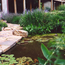 House Landscaping