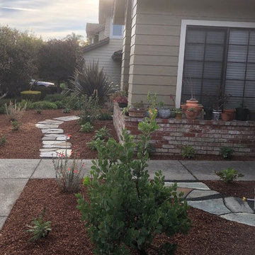 Jane + Eric's Native, Drought Tolerant Garden