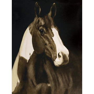 "Montana Horse" Canvas Art