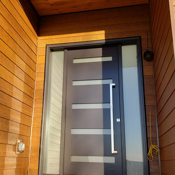 Contemporary Modern Front Entry Doors