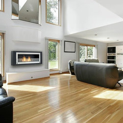Eco-Feu Santa-Cruz Biofuel Fireplace - Indoor Fireplaces