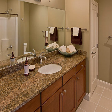 Stunning Stand Alone Villa - Award Winning by Moline Builders