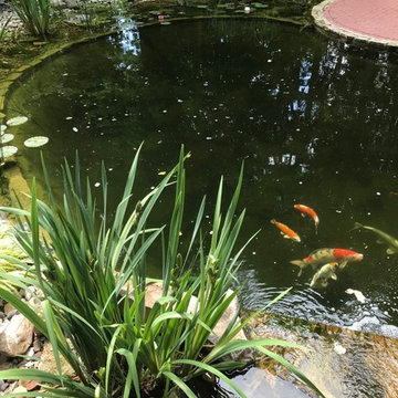 Gartenteichanlage mit Sitzplatz, Bachlauf und Gartenbeleuchtung