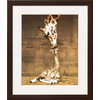 Giraffe, First Kiss by Ron D'Raine