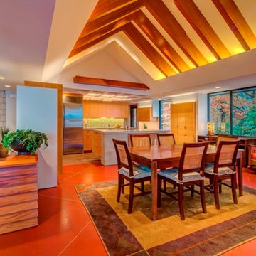 Mid-Century Modern Renovation