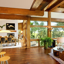 family room and fireplaces
