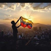 Miguel Moñi's photo