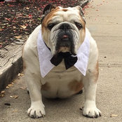Amy Roberts's photo
