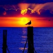 Susan Shultz's photo