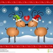 Jodi Madsen's photo