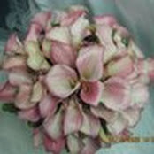 mitra hassanvali's photo