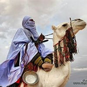 طوارق الصحراءさんの写真