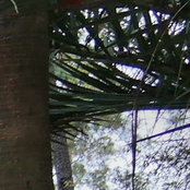 Foto de dgj fgjhdgf