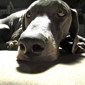 Charlene Duarte-Brannstrom's photo