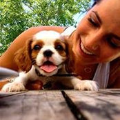 Sarah Cordill's photo