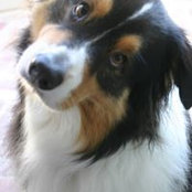 Ellen Berk's photo
