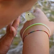 Alessandra Renella's photo