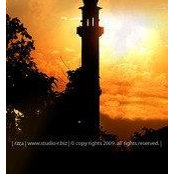 YUssra Sayed's photo
