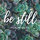 lillygirlisawsome