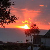 David Kennedy's photo