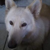 Carol Wiese's photo