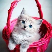 Foto de Татьяна Бабан
