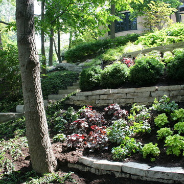 Ravine Restoration and Stabilization