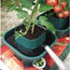 Selections Tomato and Vegetable Growbag Pots, Set of 3