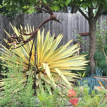 Sunny back yard slope