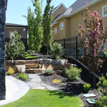 Modern Landscape