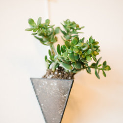 Floral Wall - Products