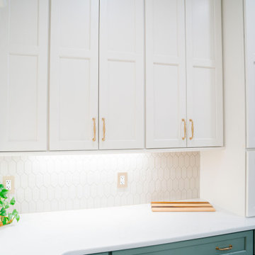 Chapin Home Remodel