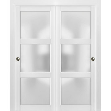 Closet Frosted Glass 3 Lites Bypass Doors 48x80 | Lucia 2552 Matte White