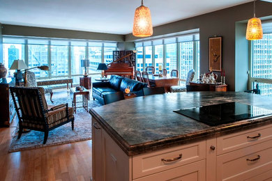 Eclectic Open Plan Streeterville Highrise