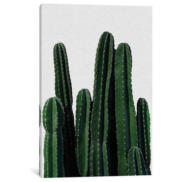"Cactus I" by Orara Studio Canvas Print, 26"x18"