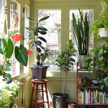 Our Denver Sunroom