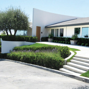 CONTEMPORARY HILLSIDE GARDEN