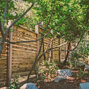 Privacy Fence and Woodland Garden