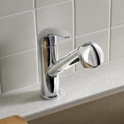 Blanco BLANCOTORINO Kitchen Faucet With Pull-Out Spray 441523 - Kitchen Faucets