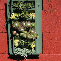 Succulent Wall for Del Mar Home Garden Show 2012 - Outdoor Pots And Planters