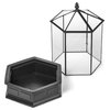 Six Sided Glass Terrarium, Wardian Case Plant Container