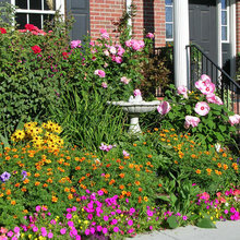 KG garden