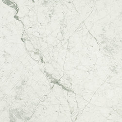 Bianco White Carrara Slab - Home Accessories & Decor