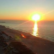 Joan Walker's photo