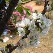 Foto von Phyu Thant