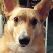 Jerrie Butler's photo