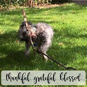 Photo de Gail Milstead