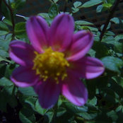 Elva Bahena's photo
