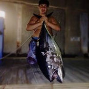 Daniel Segui's photo